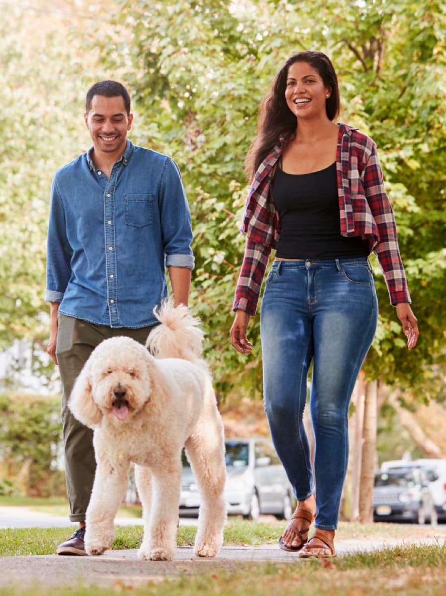 A couple walking a dog outdoors